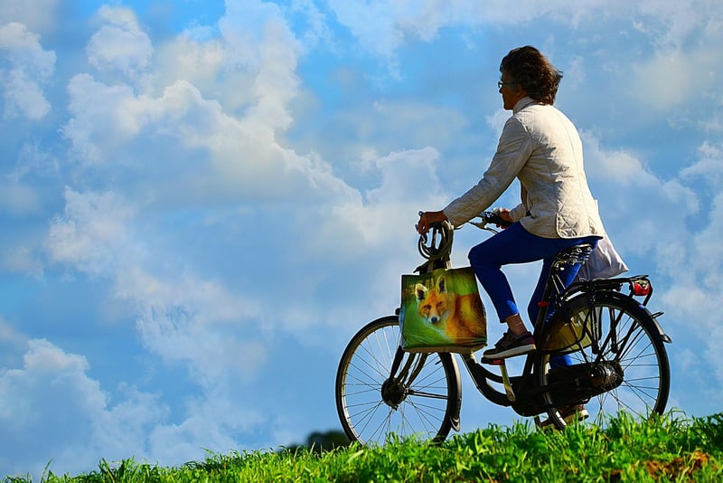 Wellness Journey